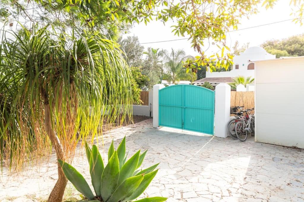카디스 Casa Colibri Costa De La Luz 빌라 외부 사진